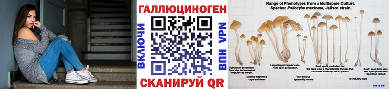 Псилоцибиновые грибы Psilocybe  Нальчик 